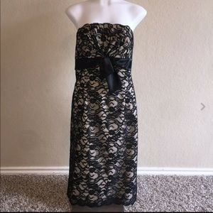 WHBM Nude Black Lace Overlay Strapless Dress 8